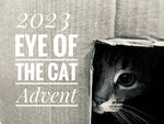2023 Eye of the Cat -  24 Colour Numbered Mystery Mini Skein Countdown Calendar Set on Choufunga Sock