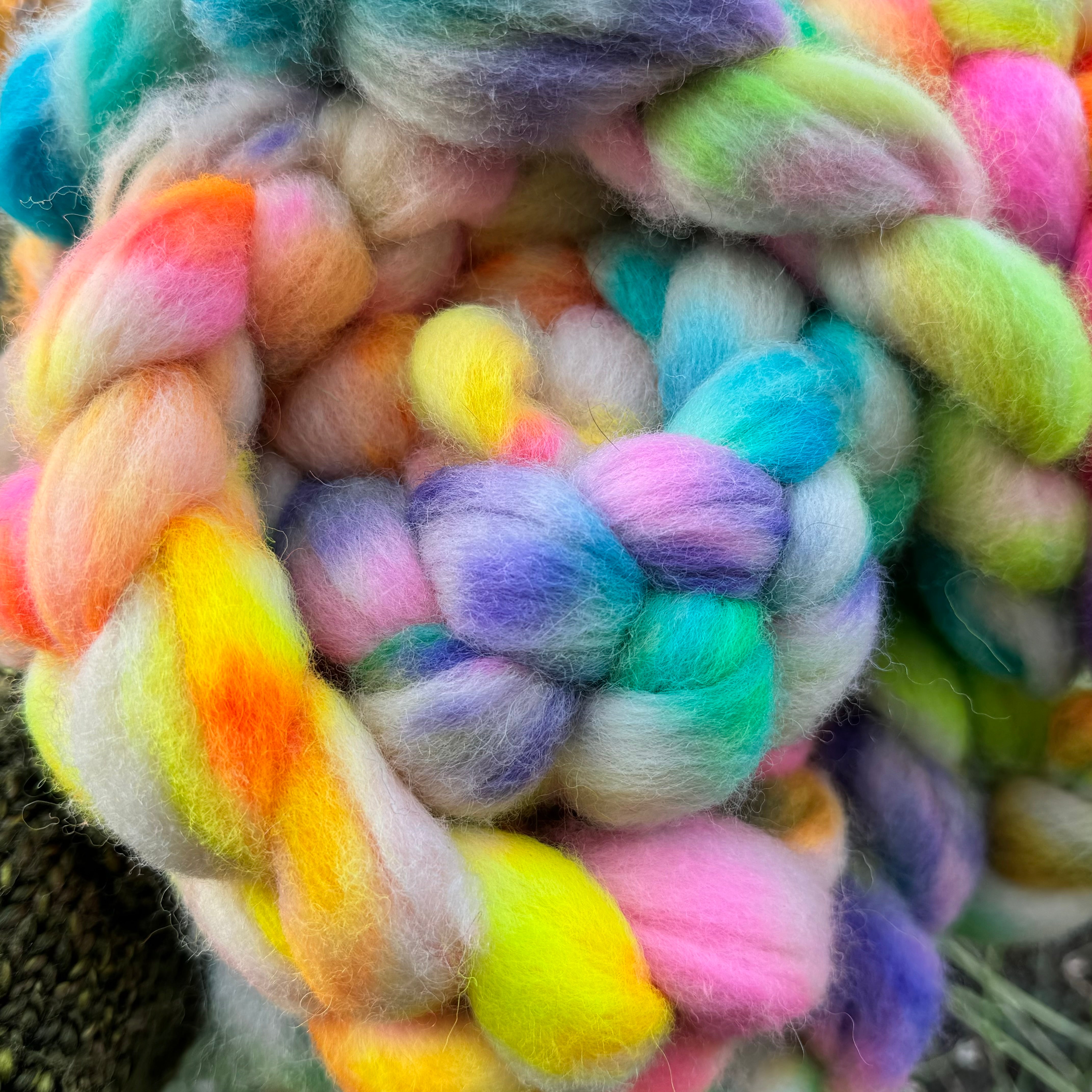 Sugar Skull on British Sheltand - 100% British Wool Top in a Spinners Braid