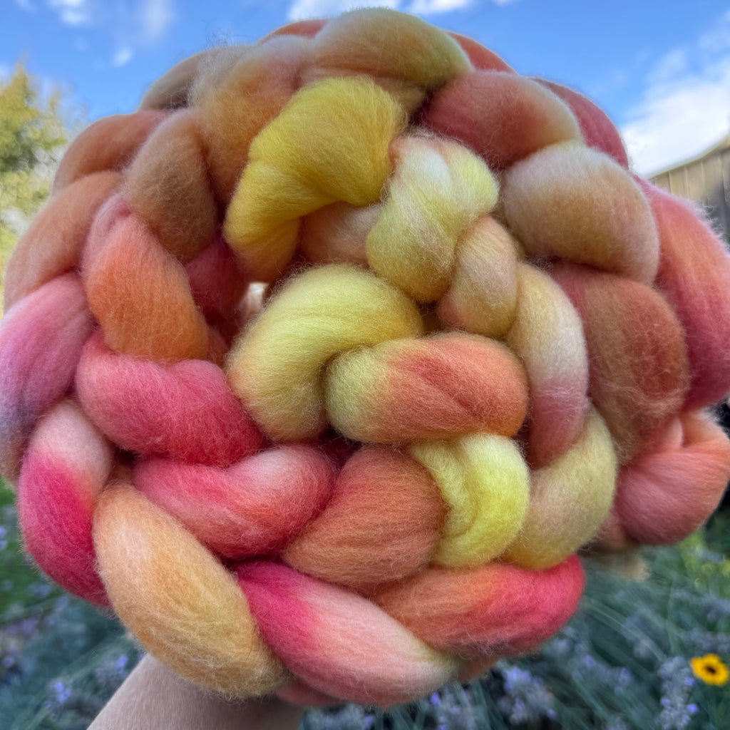 Single Batch 419 on Cormo  - Hand Dyed 100% Cormo Wool Top in a Spinners Braid