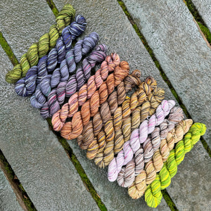 2024 Cryptid  - 13 Colour Mini Skein Set on Choufunga Sock