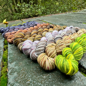 2024 Cryptid  - 13 Colour Mini Skein Set on Choufunga Sock