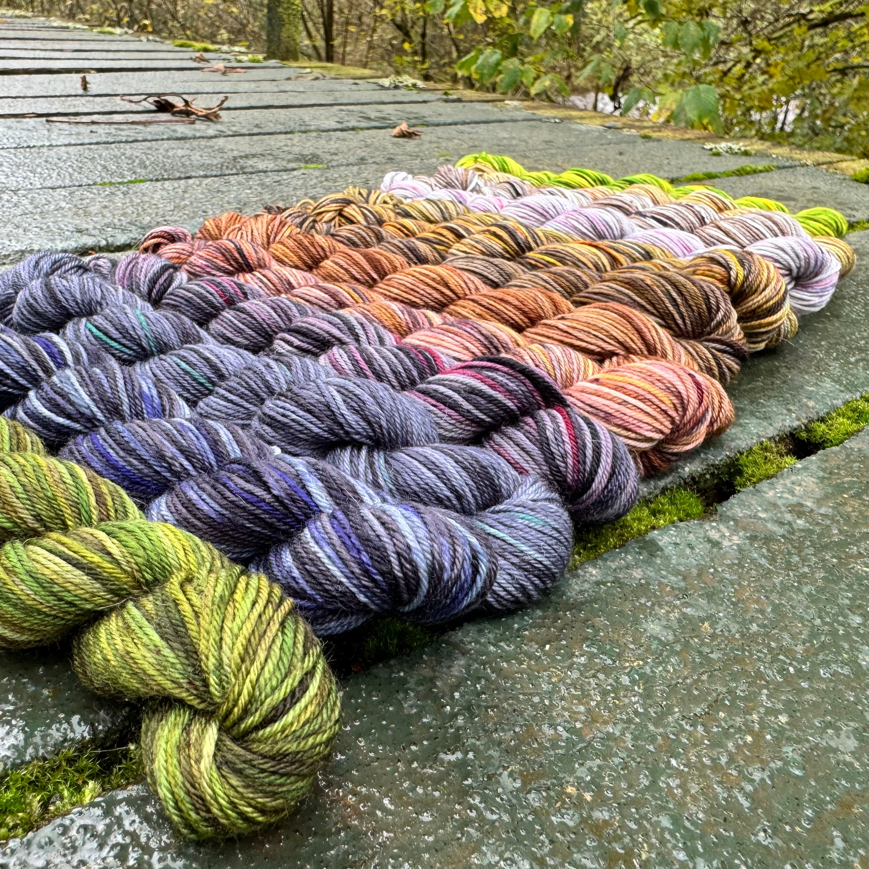 2024 Cryptid  - 13 Colour Mini Skein Set on Choufunga Sock