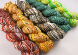 autumn coloured superwash sock yarn mini skeins