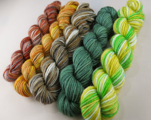 superwash merino sock yarn mini skein set orange green and brown